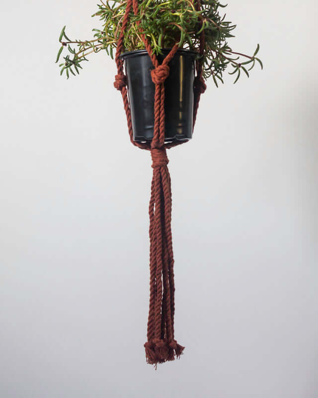 Bluefields Macrame Plant Holder - Tile Red