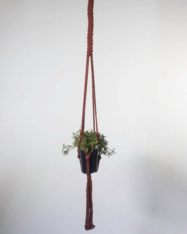 Bluefields Macrame Plant Holder - Tile Red