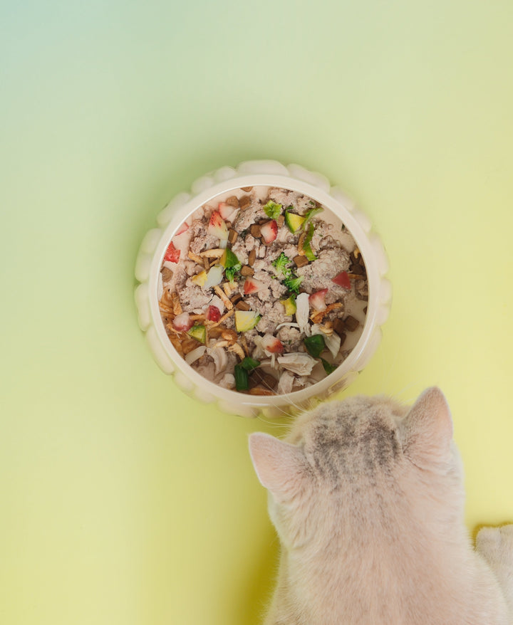 Puff Pet Bowl - Gradient Olive