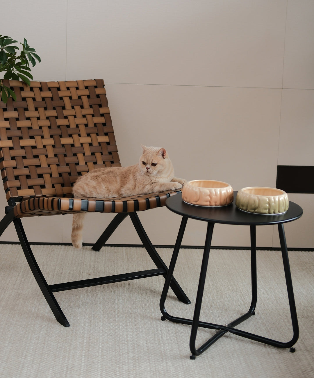 Puff Pet Bowl - Gradient Olive