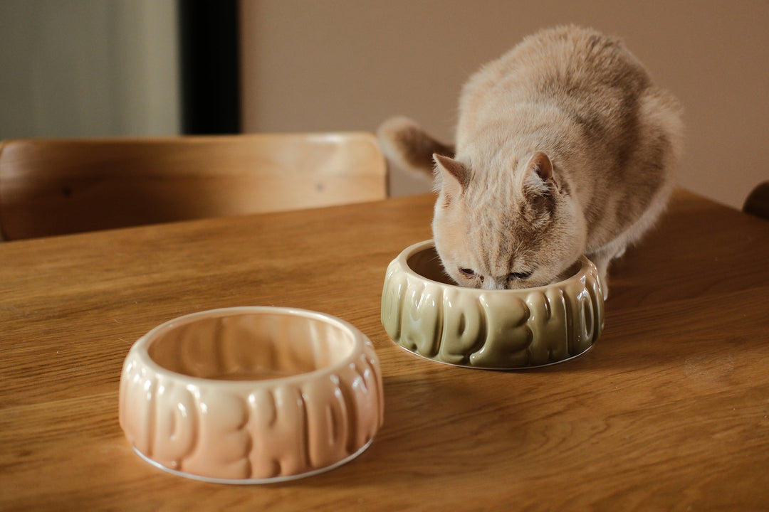 Puff Pet Bowl - Gradient Caramel