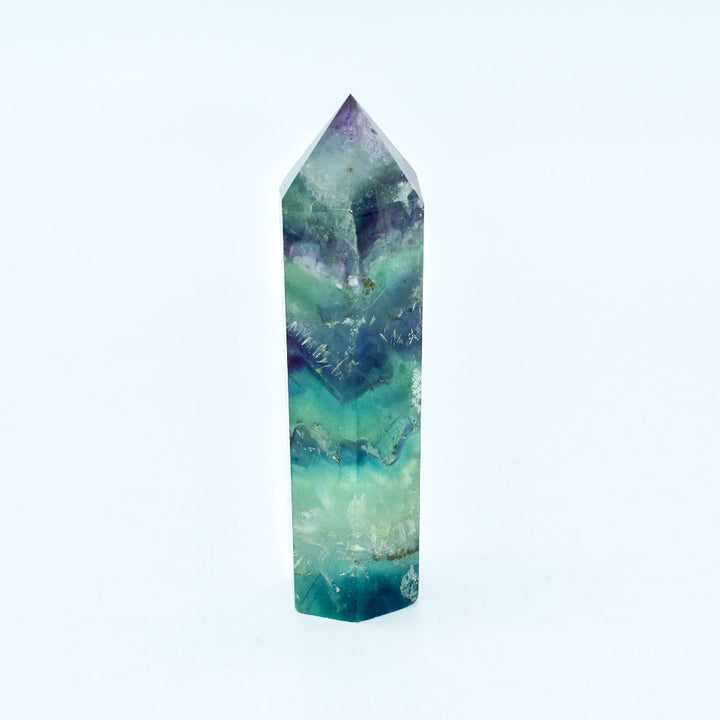 - image 2