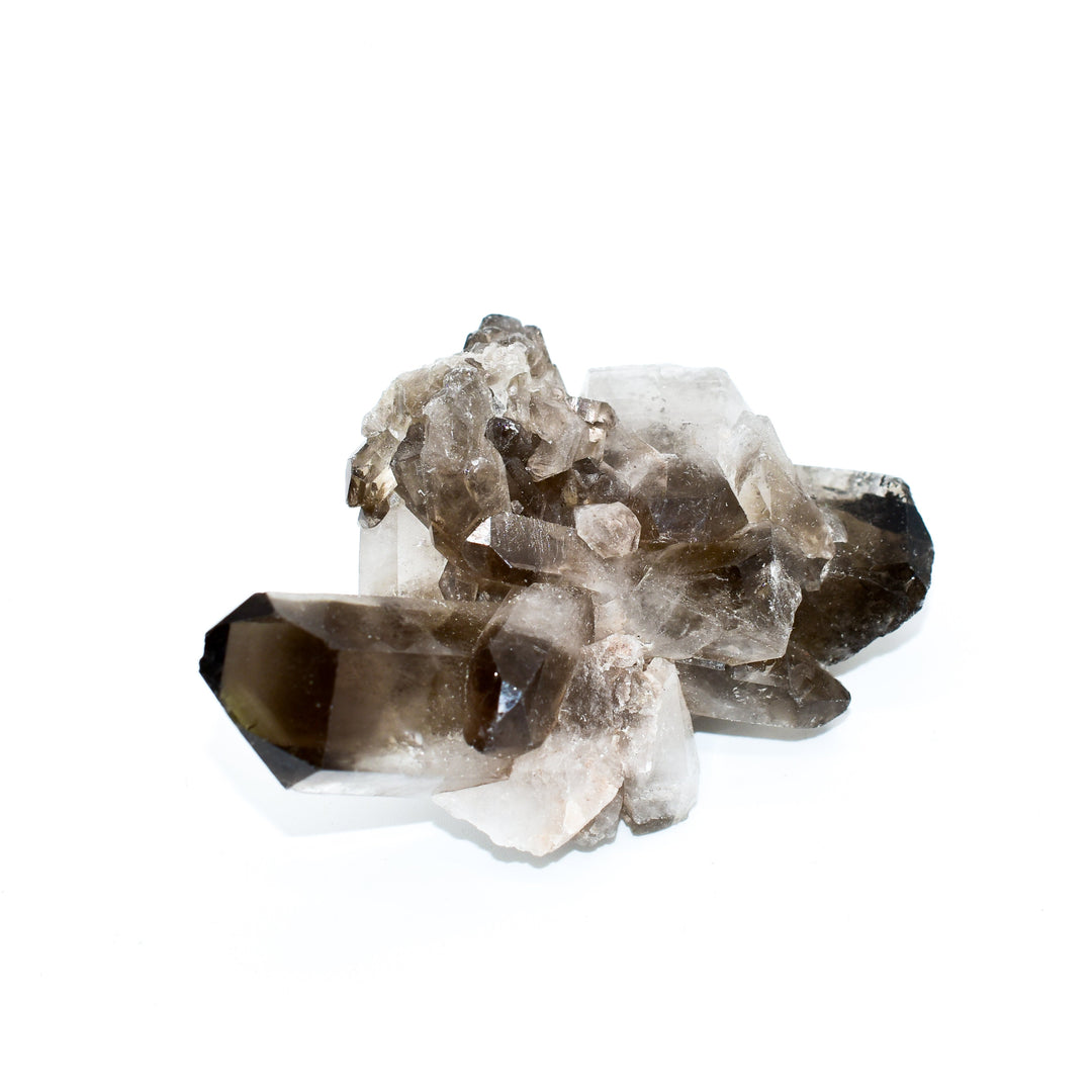 - image 6