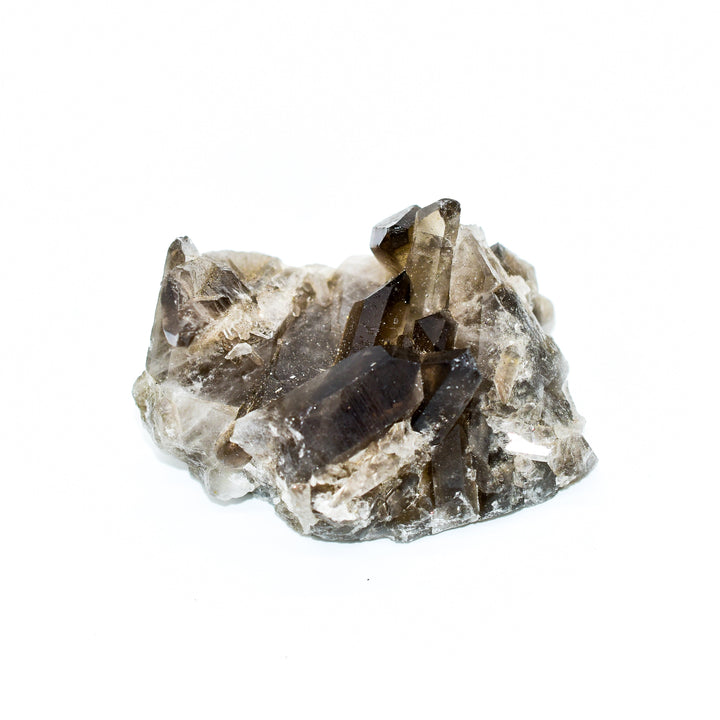- image 9
