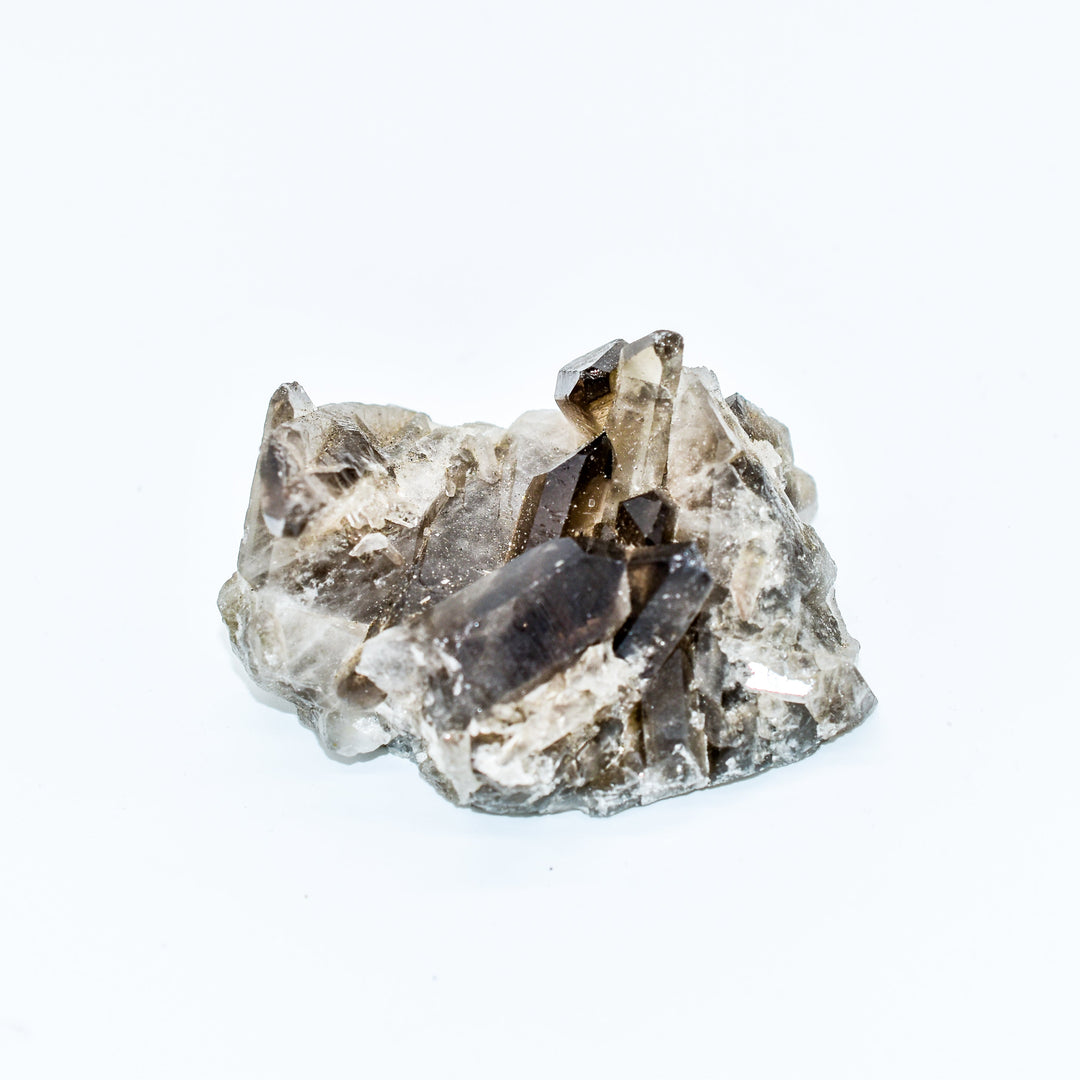 - image 10