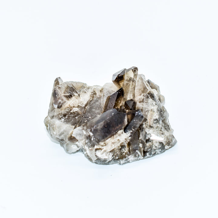 - image 10