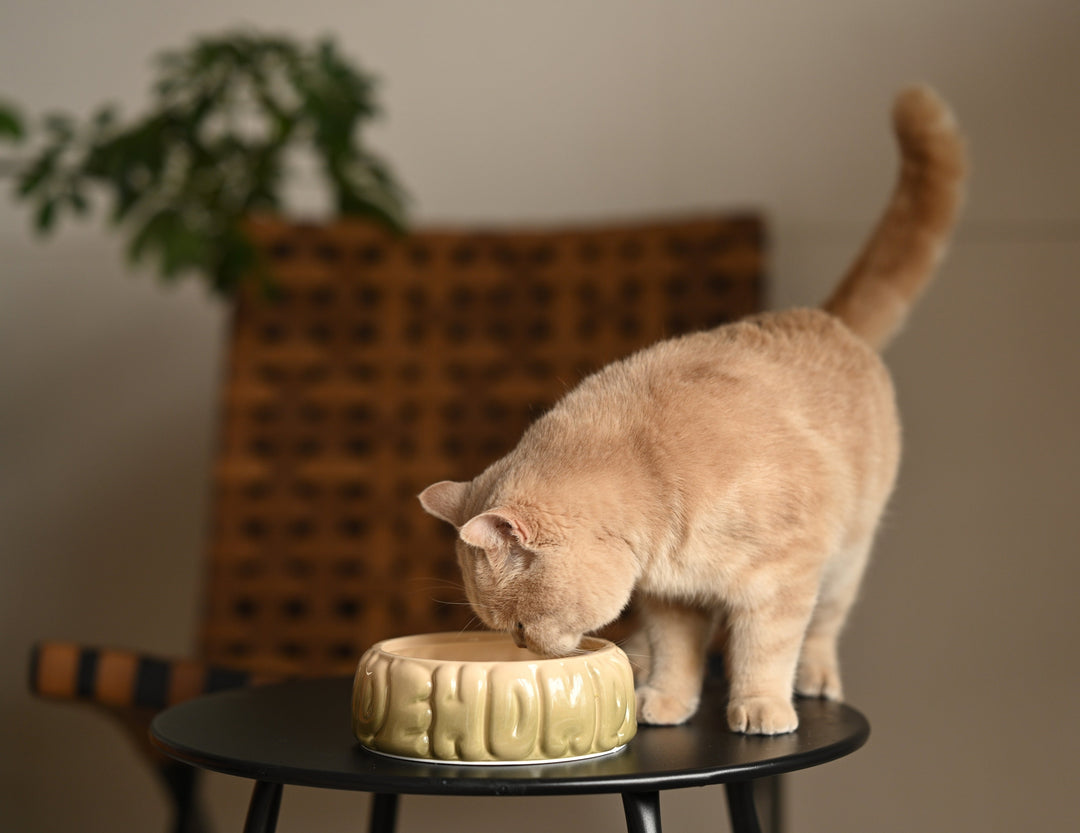 Puff Pet Bowl - Gradient Olive