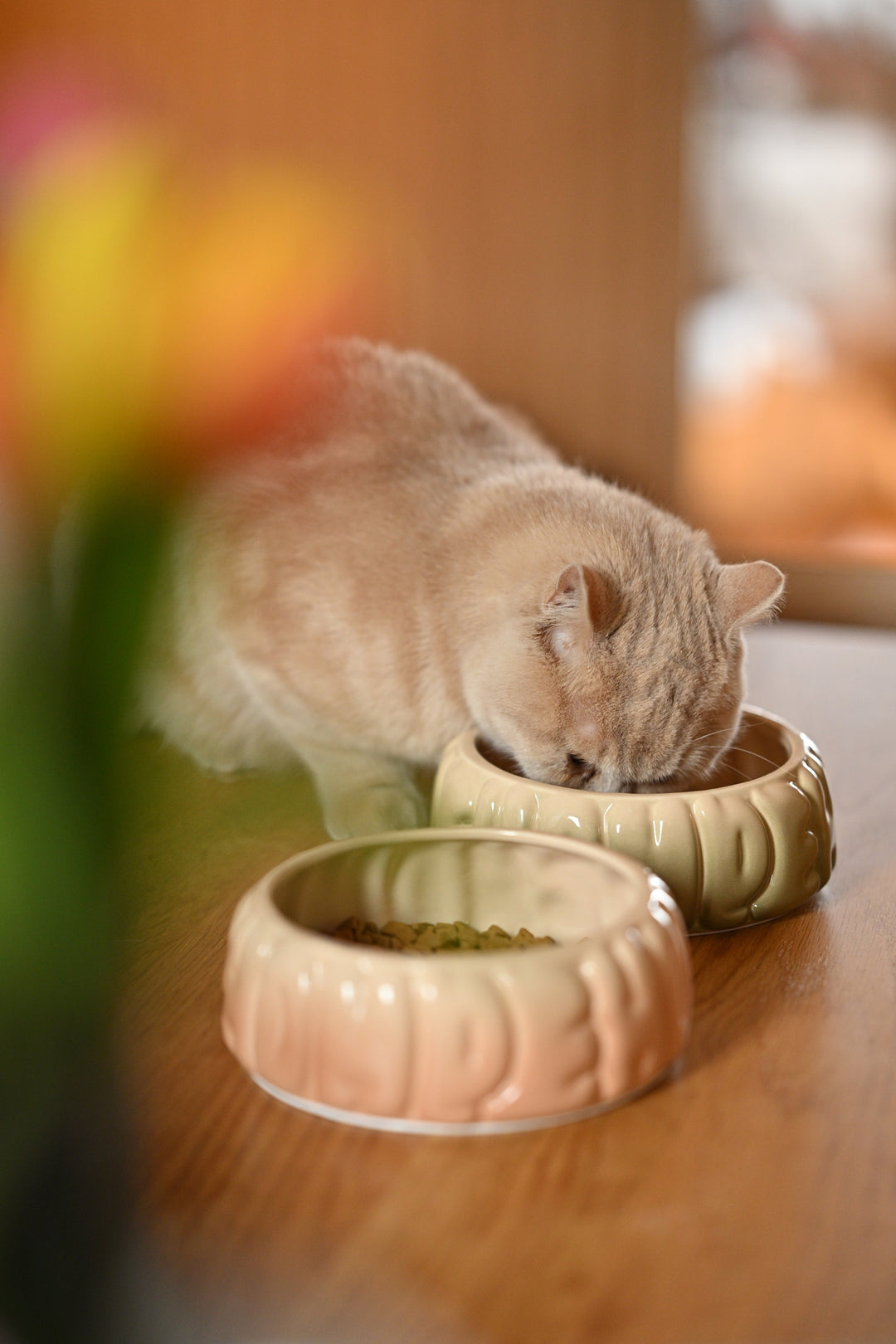 Puff Pet Bowl - Gradient Olive
