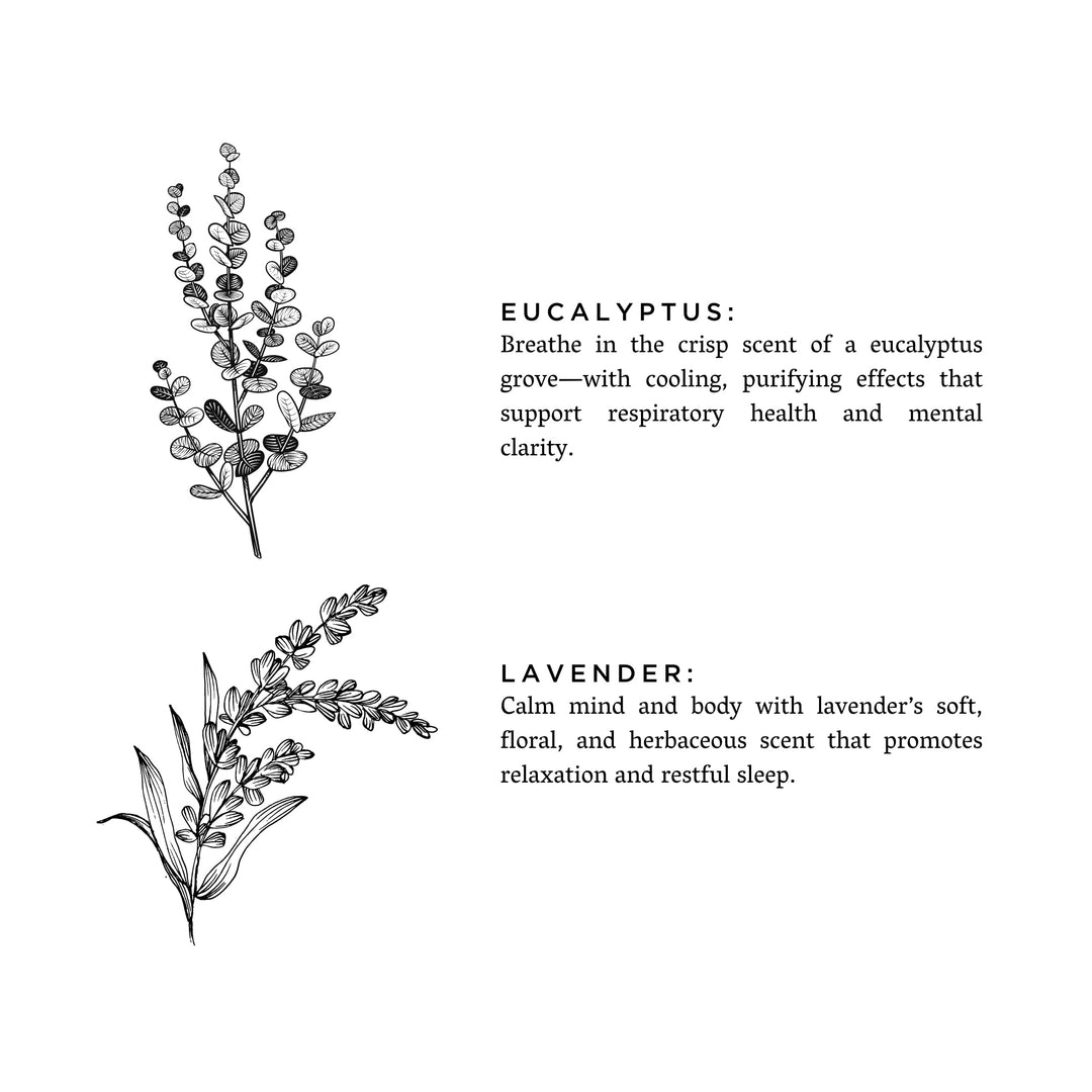 - image 4