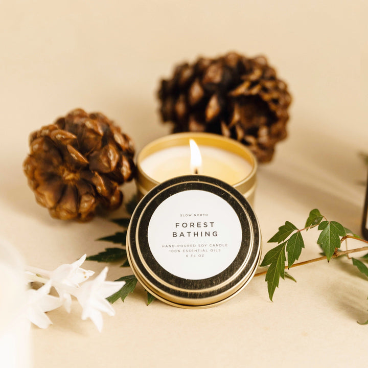 Forest Bathing | Fir + Pine + Patchouli
