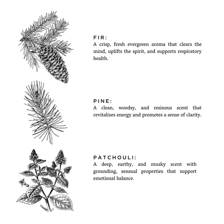 Forest Bathing | Fir + Pine + Patchouli