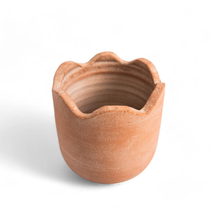 Wavy Planter