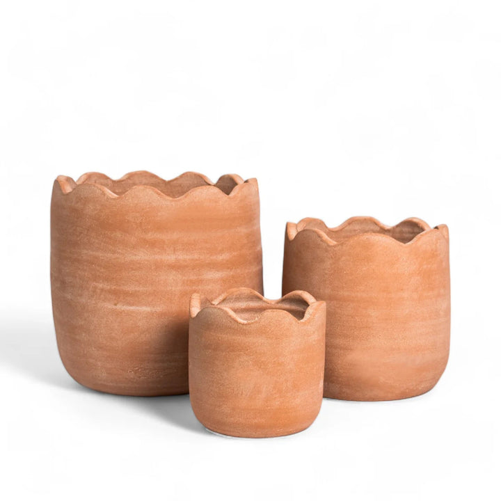 Wavy Planter