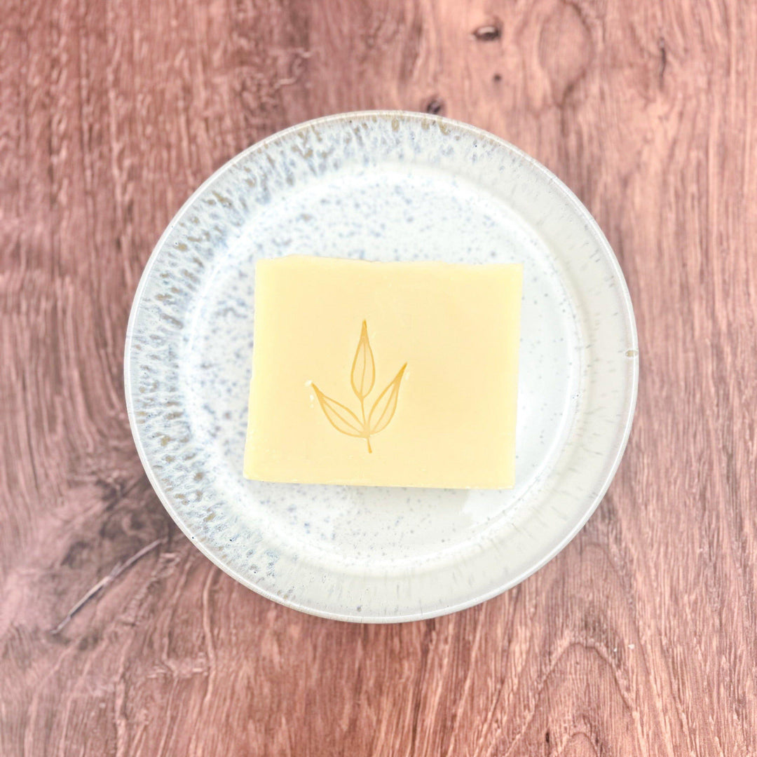 Plastic Free Bundle
