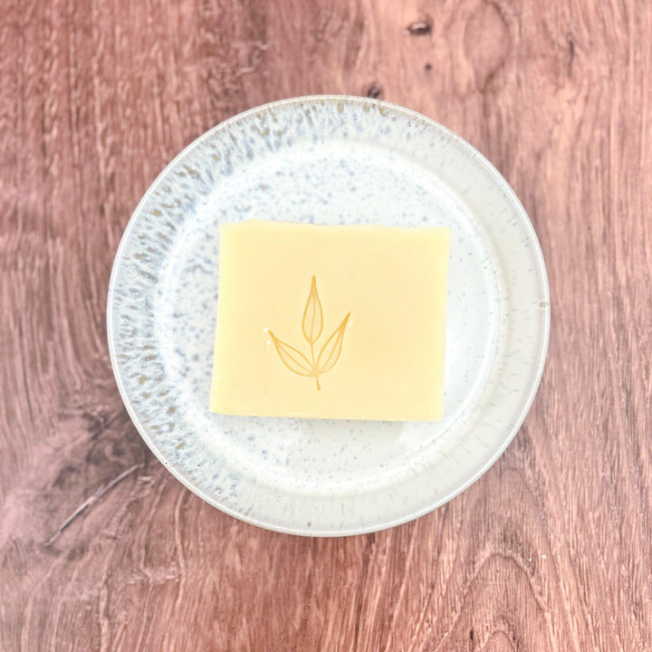 Plastic Free Bundle