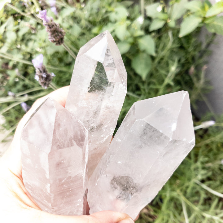 Natural crystal quartz point stone for manifestation and crystal charging on white background