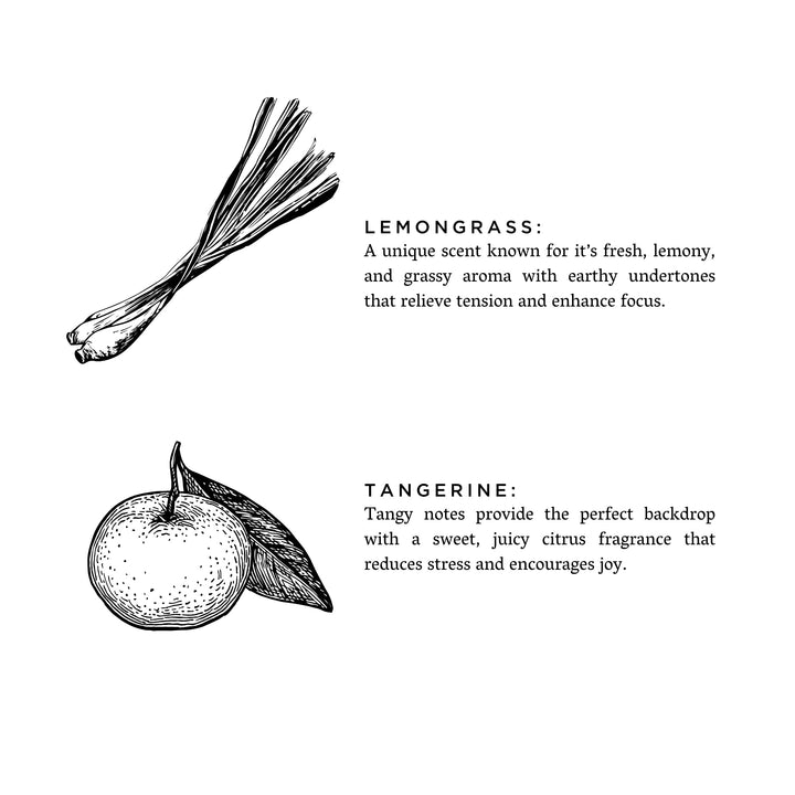 Lemongrass + Tangerine - Reed Diffuser