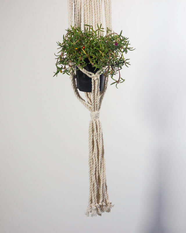 Mombacho Macrame Plant Holder - Natural White