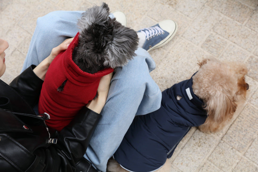 Reversible Dog Vest Jacket - Red