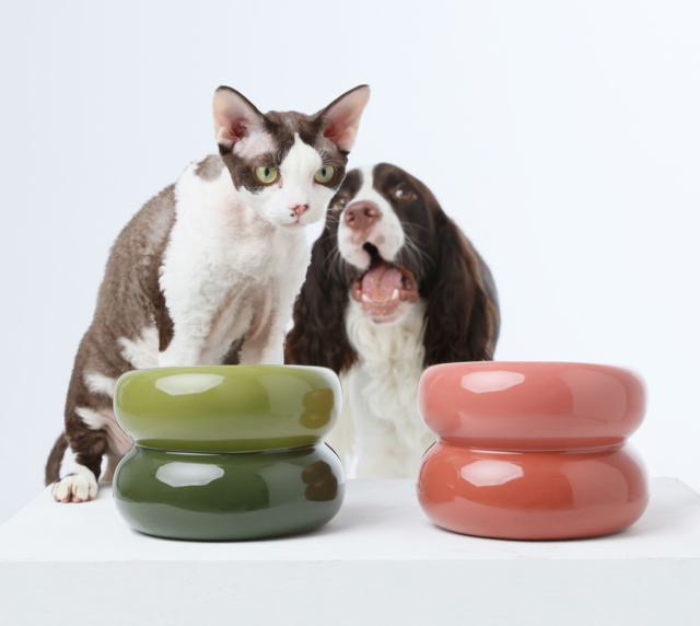 Soufflé Pet Bowl