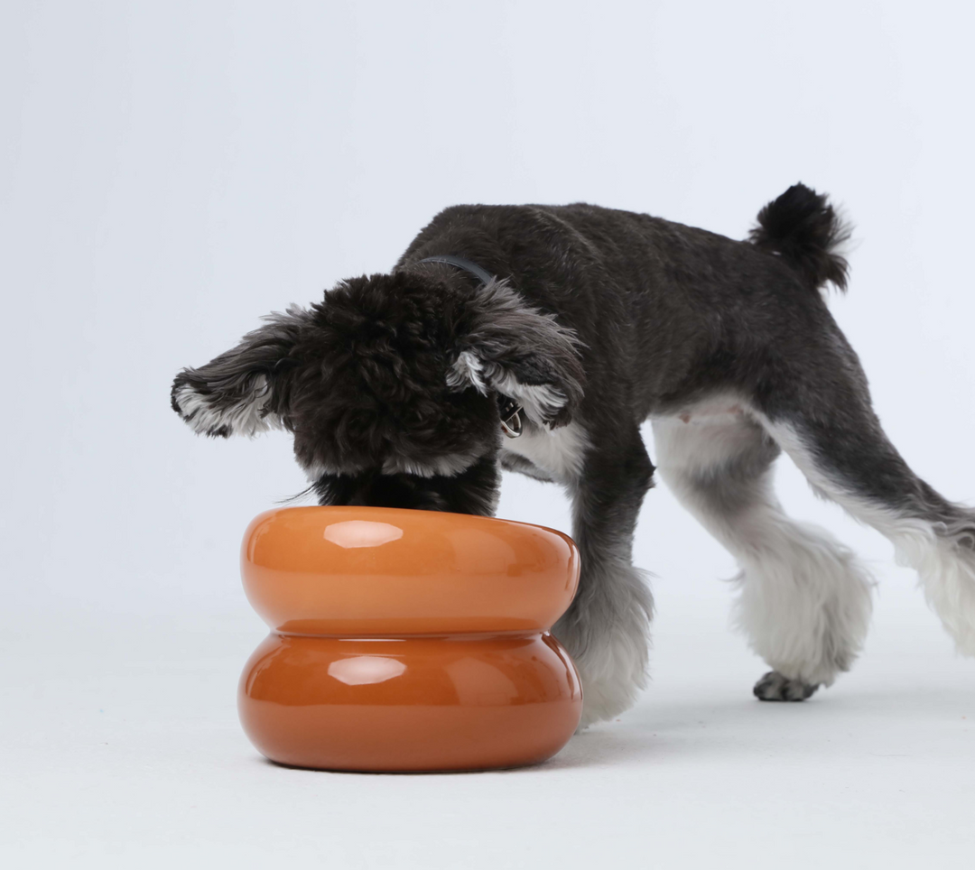 Soufflé Pet Bowl