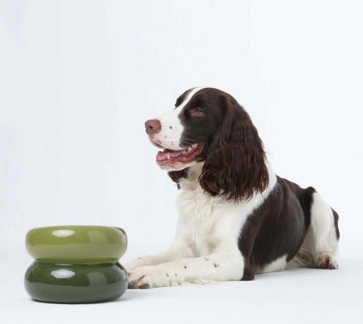 Soufflé Pet Bowl