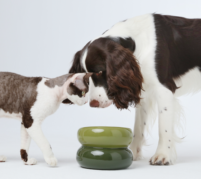 Soufflé Pet Bowl