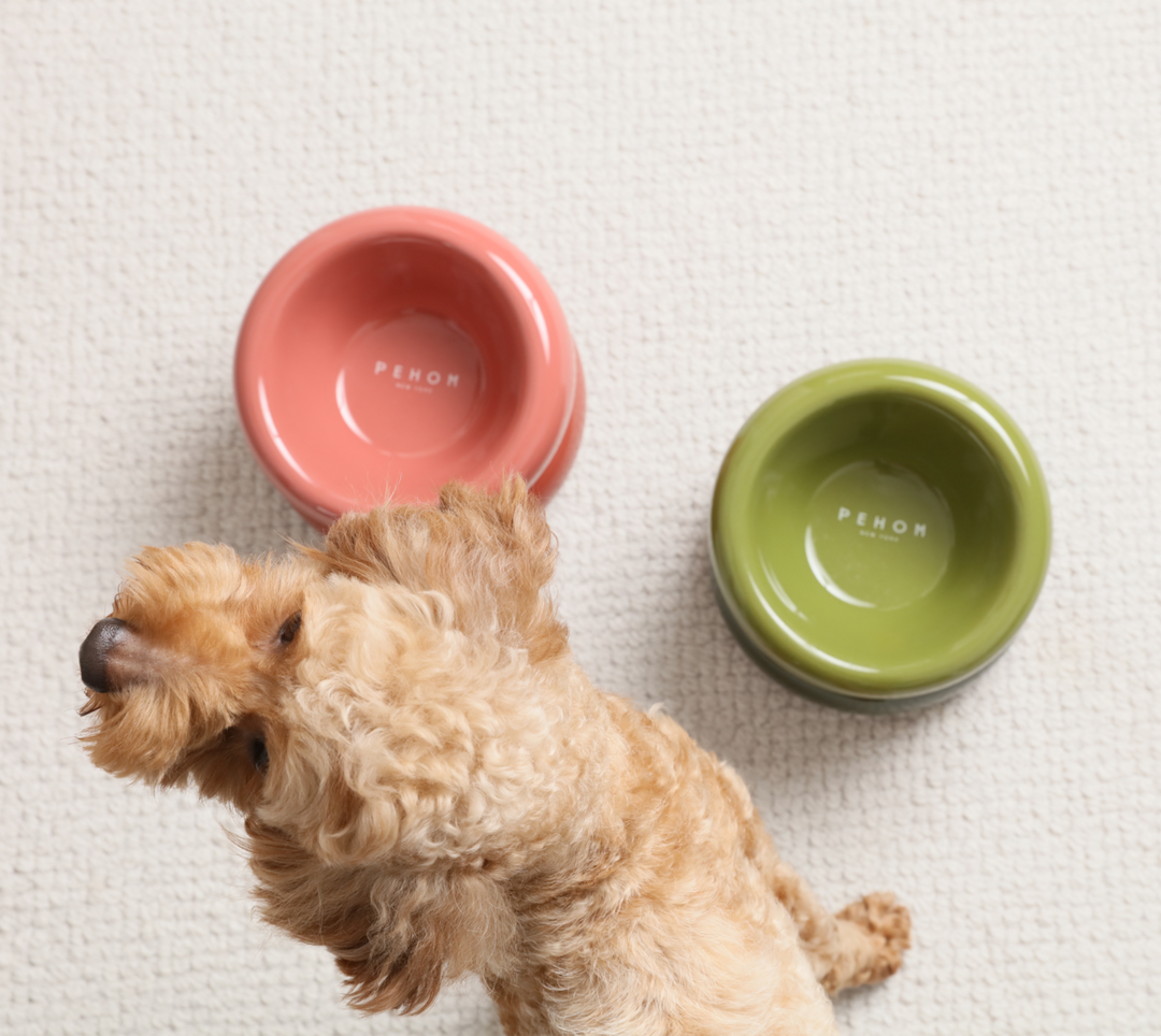 Soufflé Pet Bowl