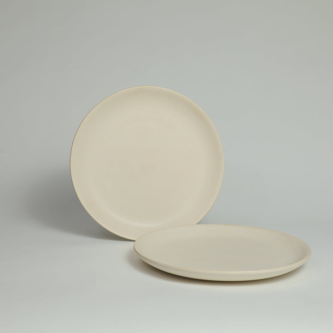 Stoneware Dinner Plate (Set of 2)