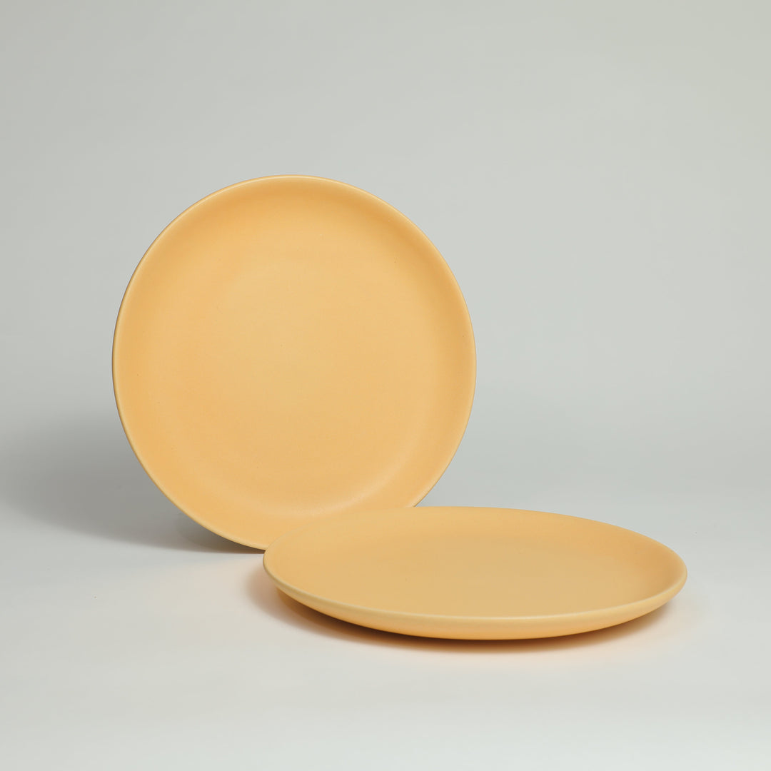 Stoneware Dinner Plate (Set of 2)