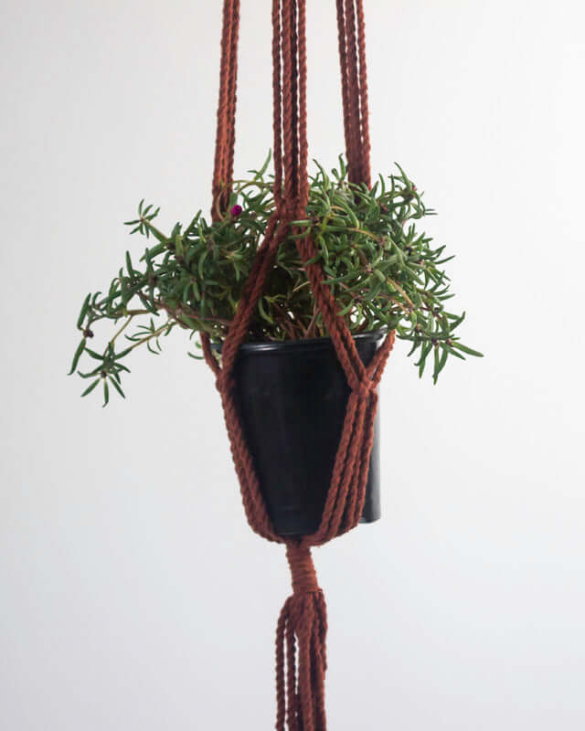 Santana Macrame Plant Holder