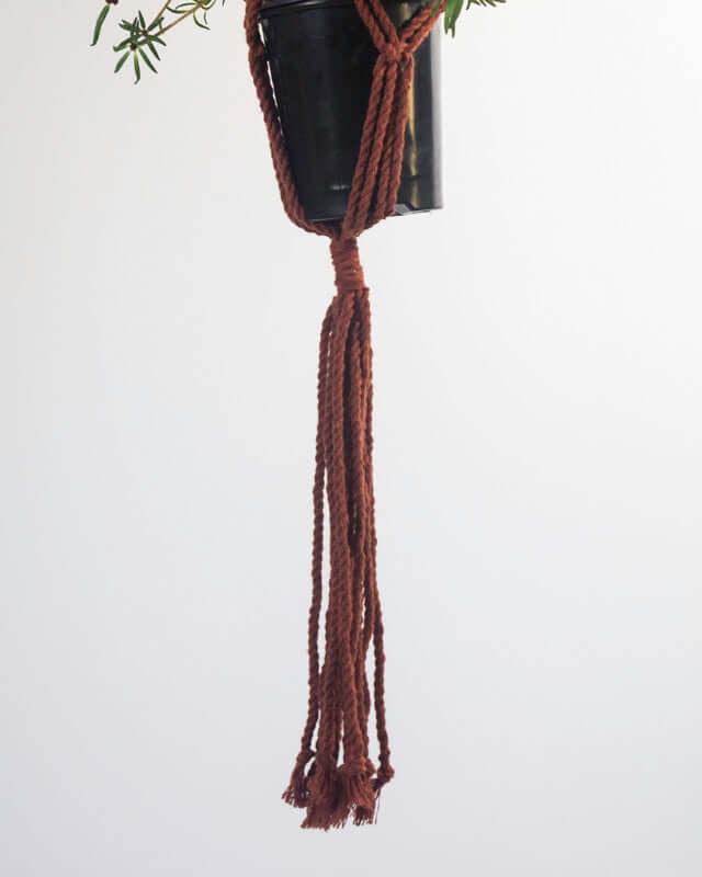 Santana Macrame Plant Holder