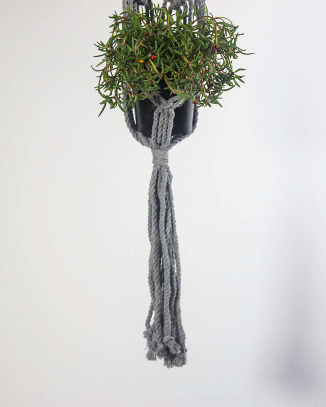 Somoto Macrame Plant Holder