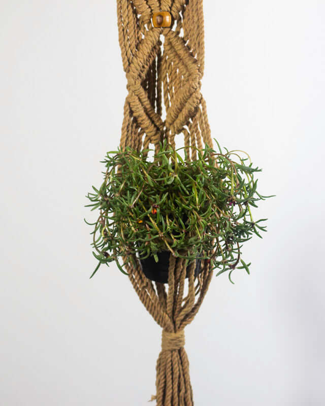 Somoto Macrame Plant Holder