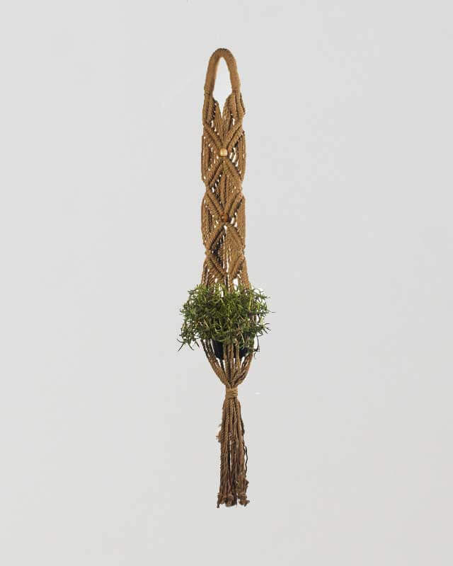 Somoto Macrame Plant Holder