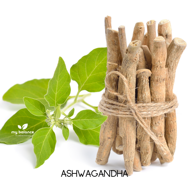 Organic Ashwagandha roots and leaves used in My Balance Nutrisentials capsules for natural calm and balance.