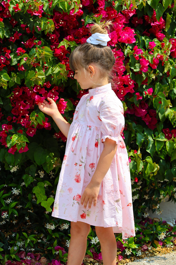 The Madeleine Dress | Blush Rose