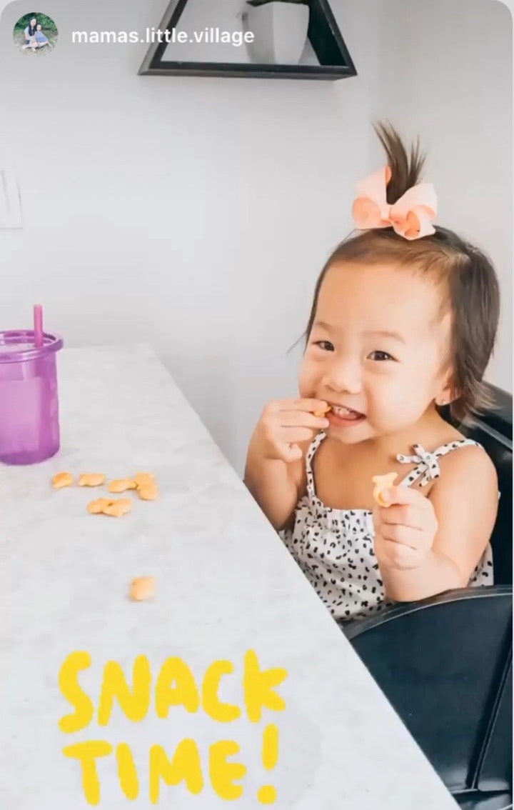 Chair Hugs - After the High Chair Seating for Your Toddler