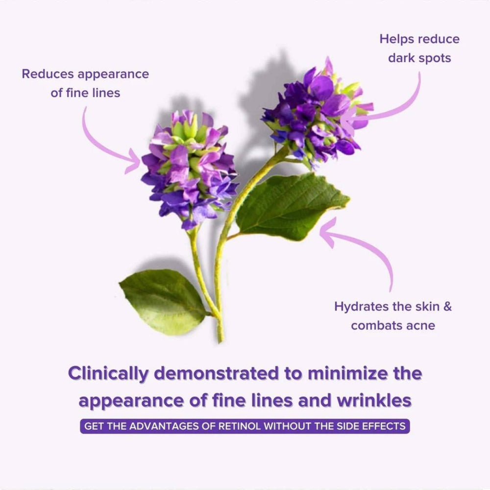 Bakuchiol Eye Serum illustration showing benefits such as reducing fine lines, dark spots, hydrating skin, and retinol alternatives.