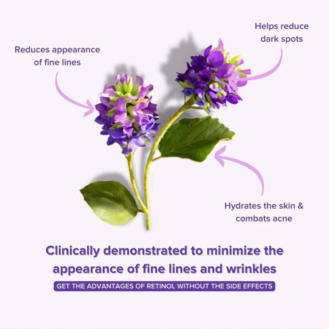 Purple Bakuchiol flower highlighting benefits like reducing fine lines, dark spots, and hydrating skin, as a retinol alternative.