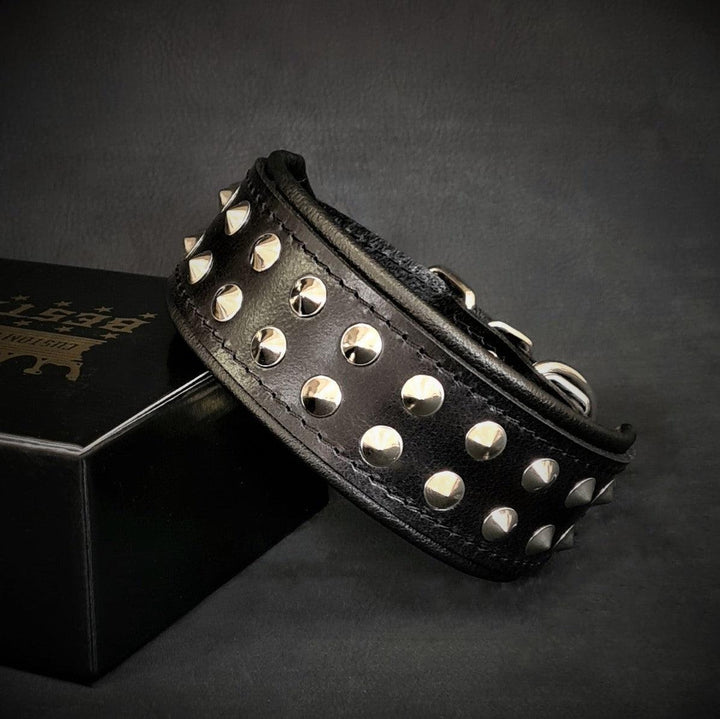 "Boston" Collar