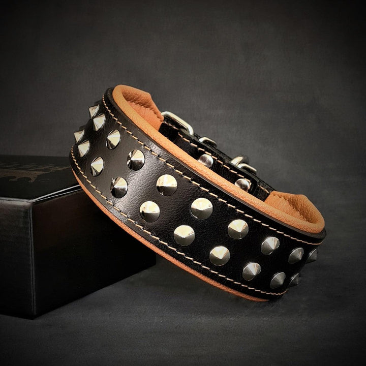 "Boston" Collar