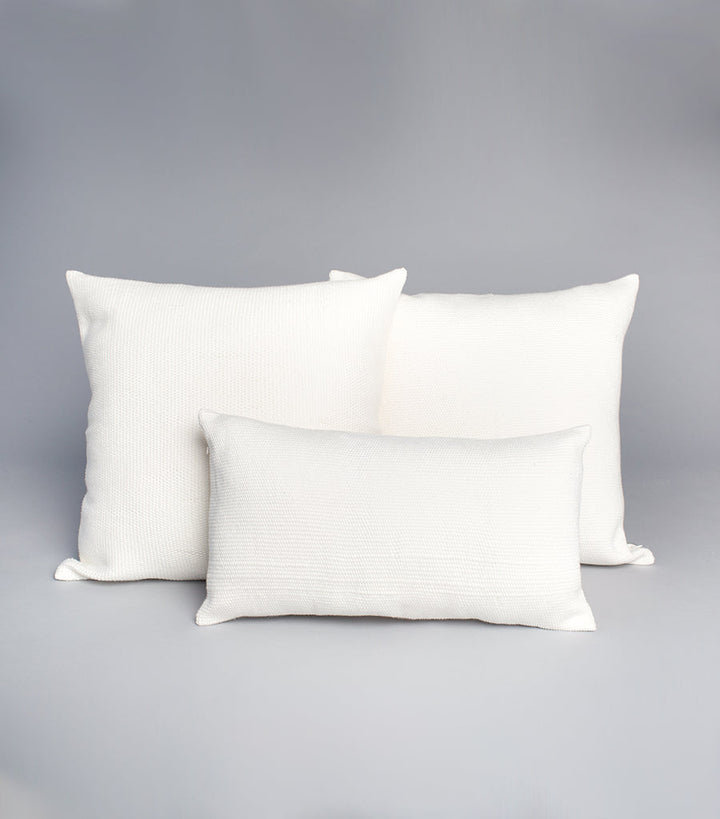 Solid Cotton Euro Pillow - Ivory