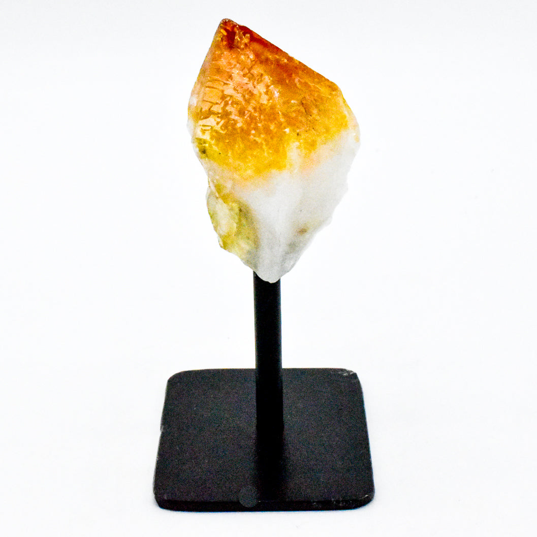 - image 7