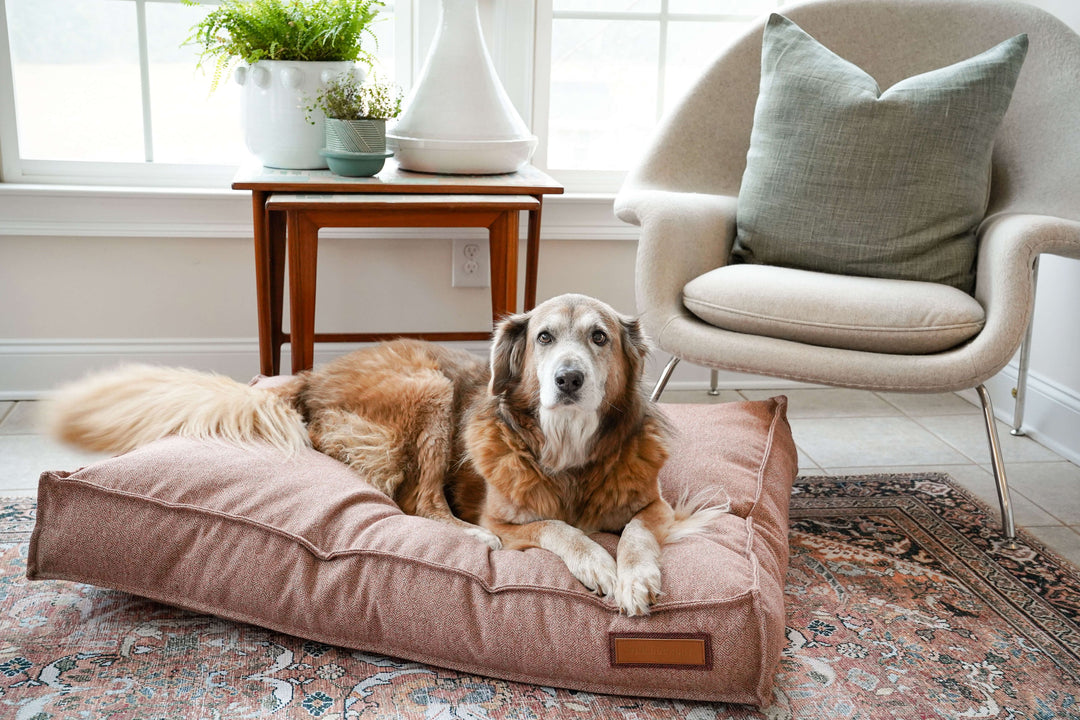 Lounger Pet Bed - Pittie Pink