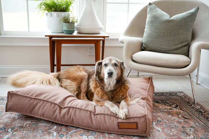 Lounger Pet Bed - Pittie Pink