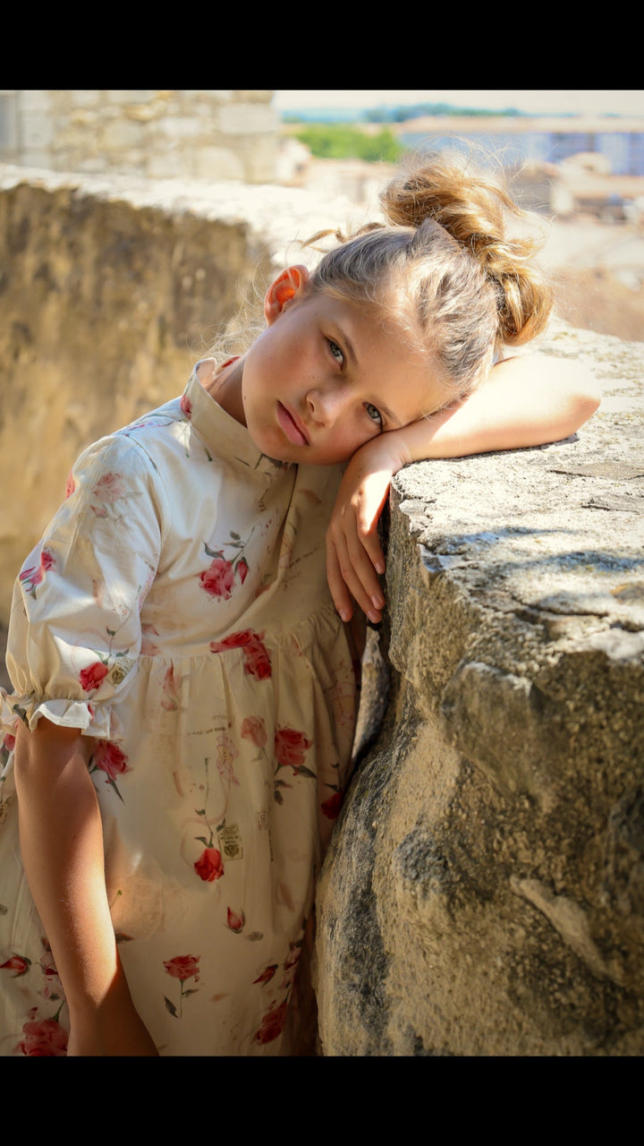Madeleine Dress | Rose Garden Toile