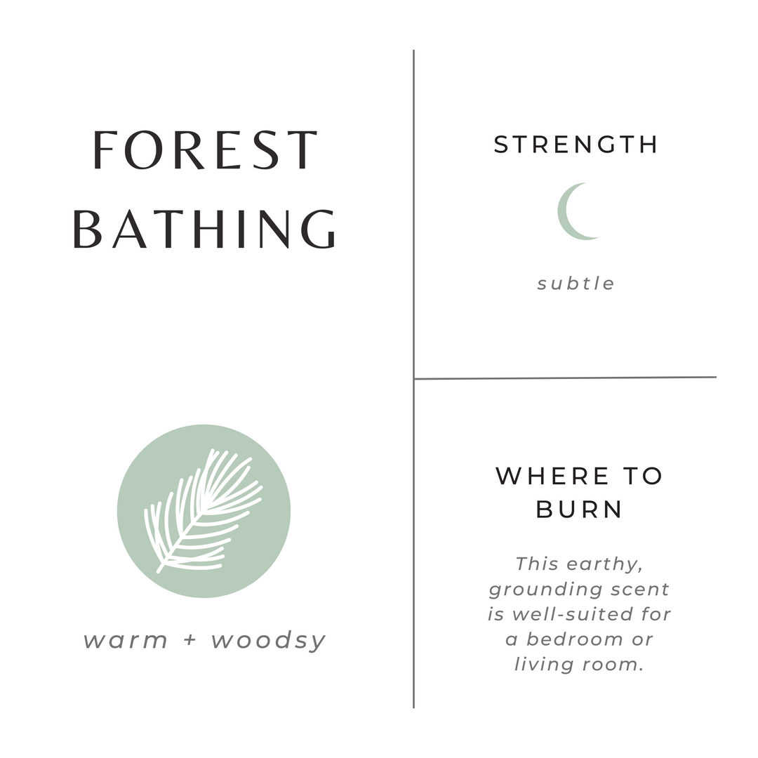 Forest Bathing | Fir + Pine + Patchouli