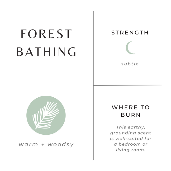 Forest Bathing | Fir + Pine + Patchouli
