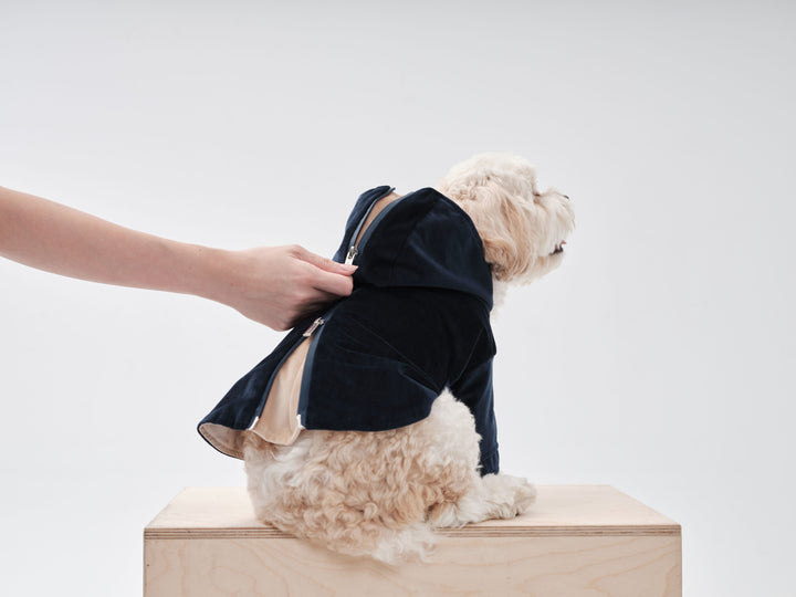 Huston Hoodie - Midnight Blue